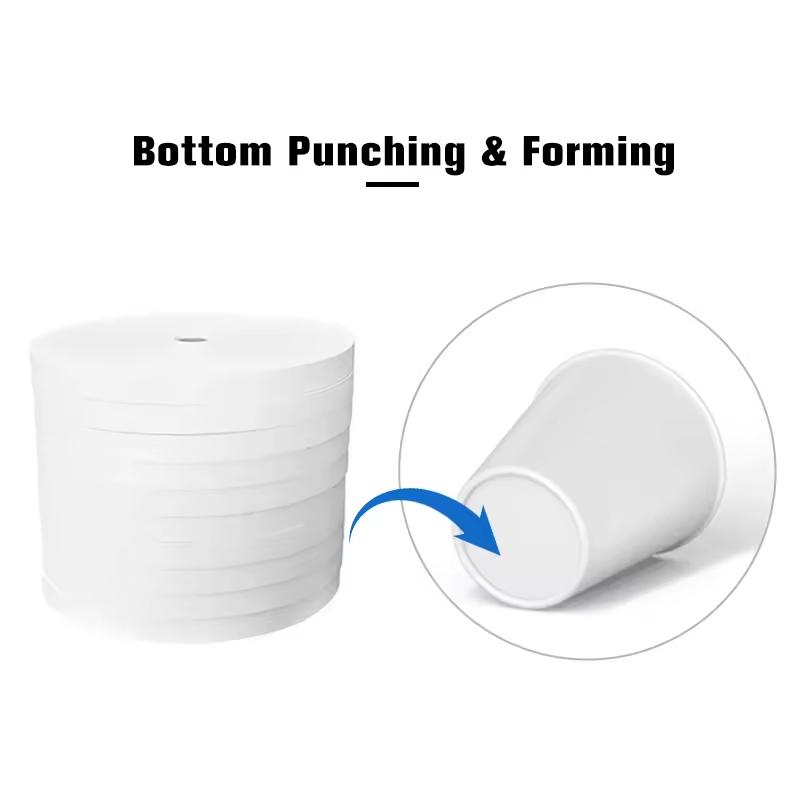 Paper Cup Bottom Roll (1).jpeg.jpg
