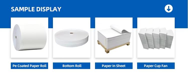 Paper Cup Bottom Roll (4).jpg